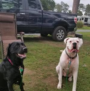 Meet your Posher, Carrie